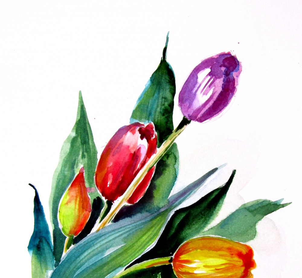 Tulips