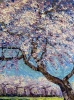 Almond Blossom Tree