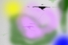 Abstract XLI