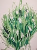 Budding Snowdrops watercolour 