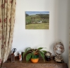 Lone Cottage