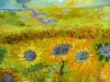 Sunflower Fields 2025