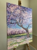 Almond Blossom Tree