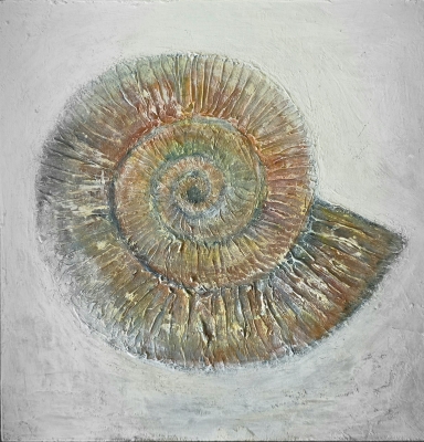 Life Makes Marks - Ammonite