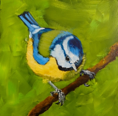 Blue Tit Holding On