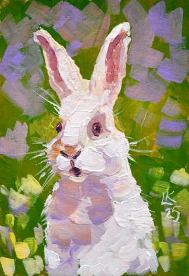 White bunny