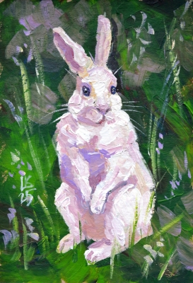 White bunny in the green grass
