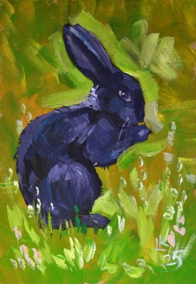 Cute black rabbit