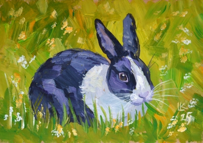 Black and white rabbit sitting in the grass