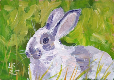 Bunny portrait