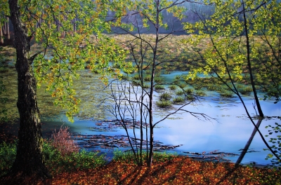 Dealamere Moss in Autumn
