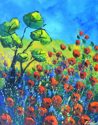 Red poppies in Provence 