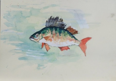 River Perch