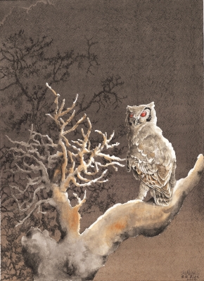 BUBO LACTEUS ON NIGHT WATCH