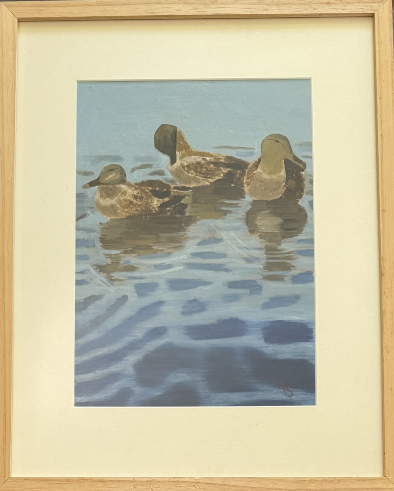 Ducking Around