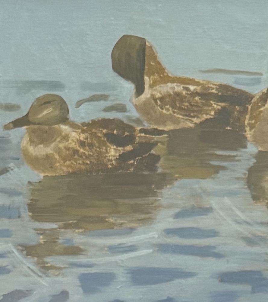 Ducking Around