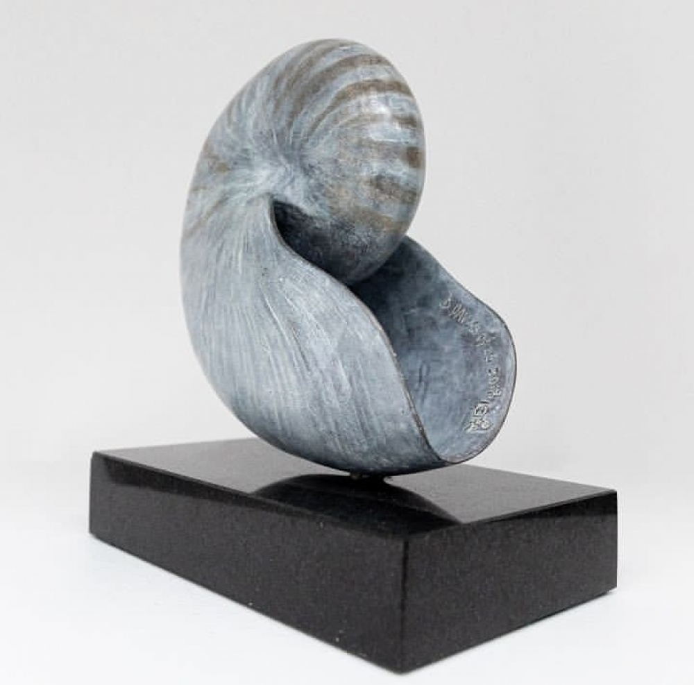 Nautilus 