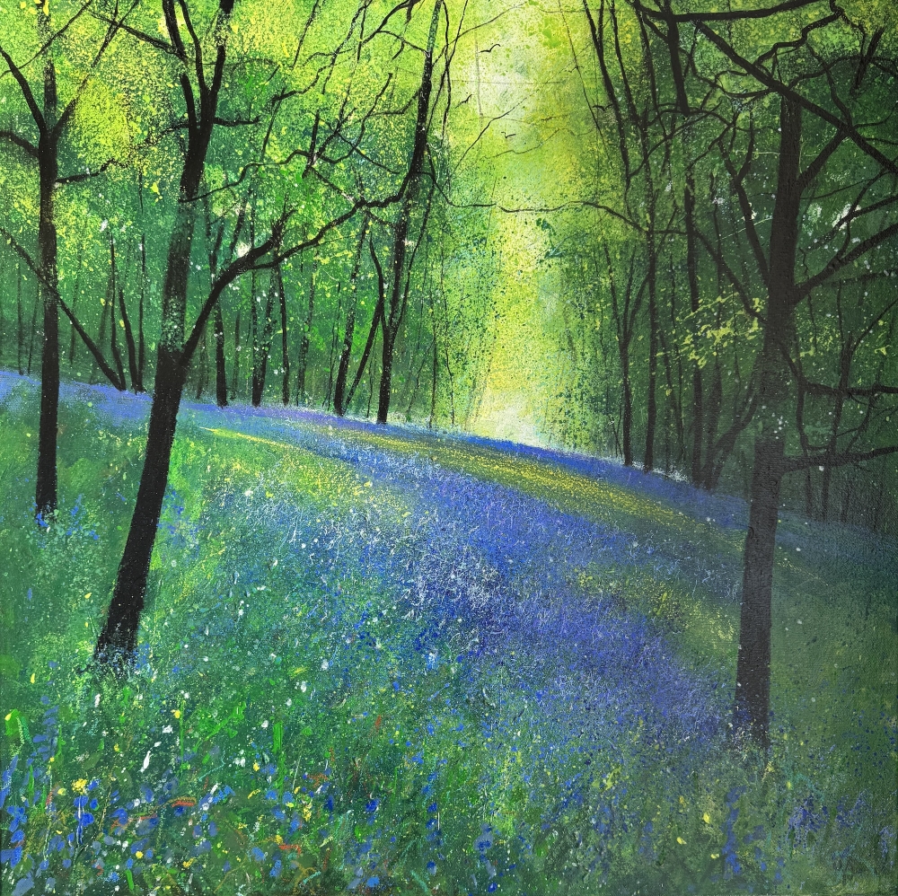 Spring Woodland Bluebell View