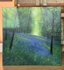 Spring Woodland Bluebell View
