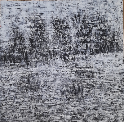 Snowstorm by the Lake 
