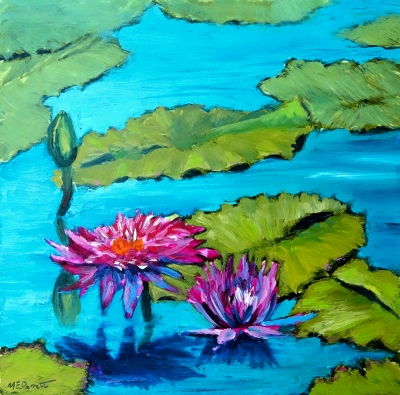 Cycle of Waterlily Life