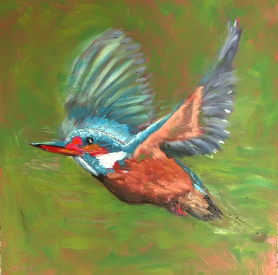 Flying Kingfisher