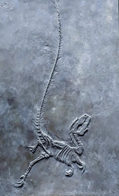 Sinosaurusopteryx prima 