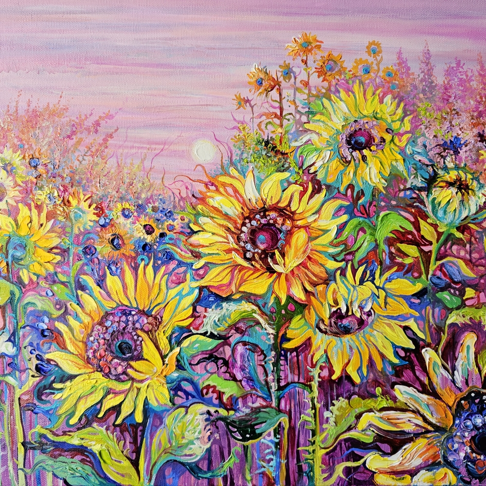 Sunflower Field in the Sunset Light