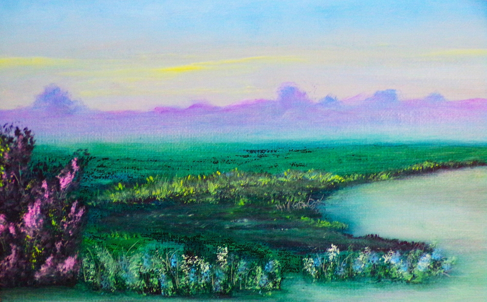 Salt House Marsh Norfolk