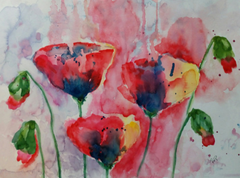 Red Poppies