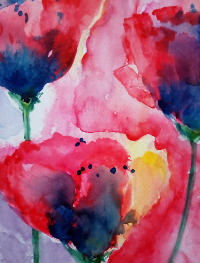 Red Poppies