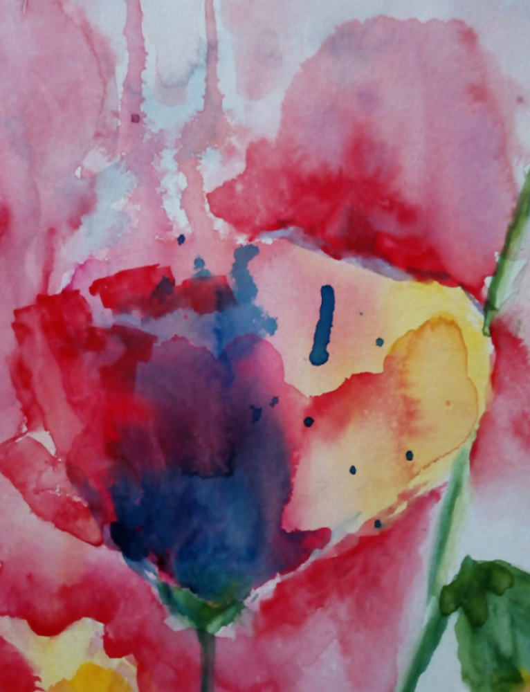 Red Poppies