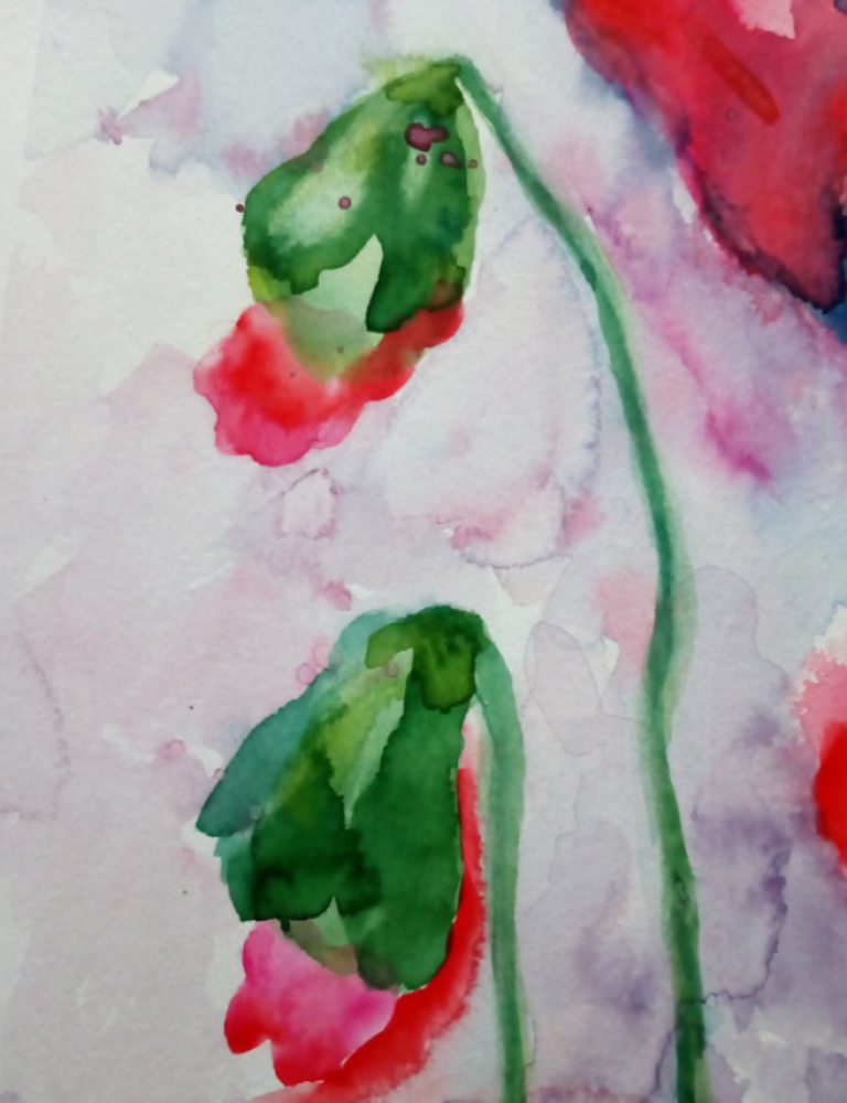 Red Poppies
