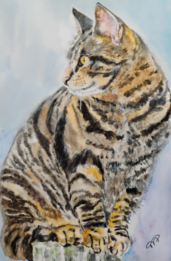 Portrait of a Cat
