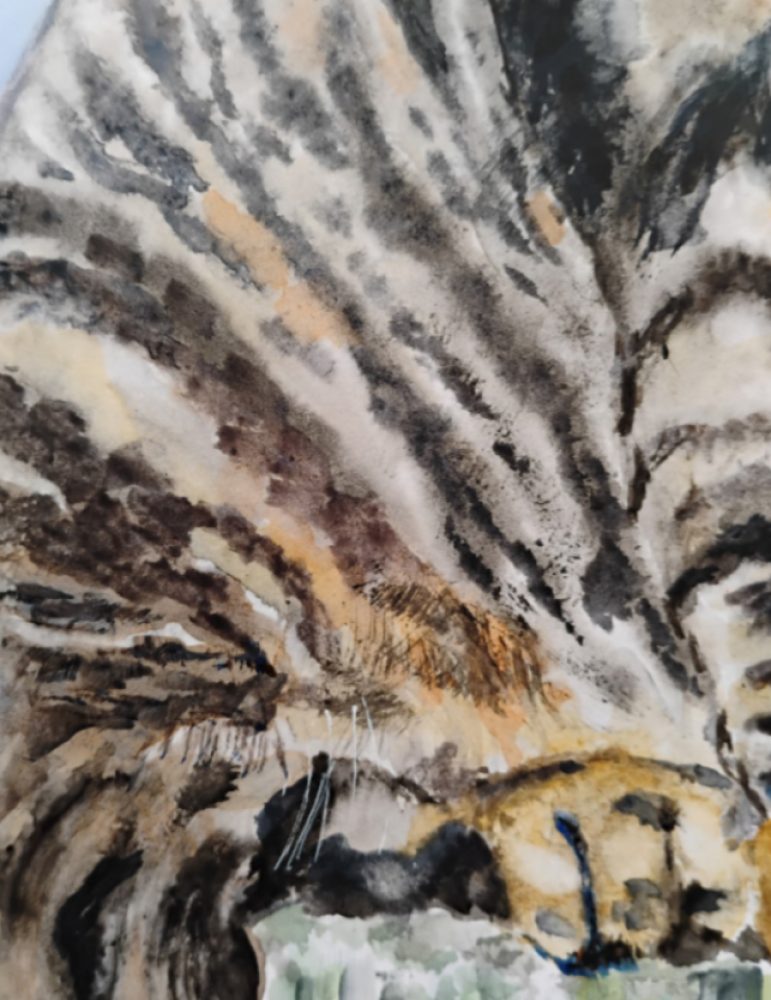 Portrait of a Cat
