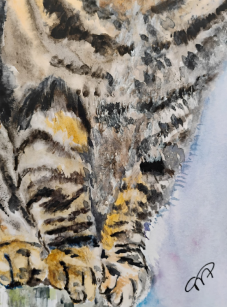Portrait of a Cat