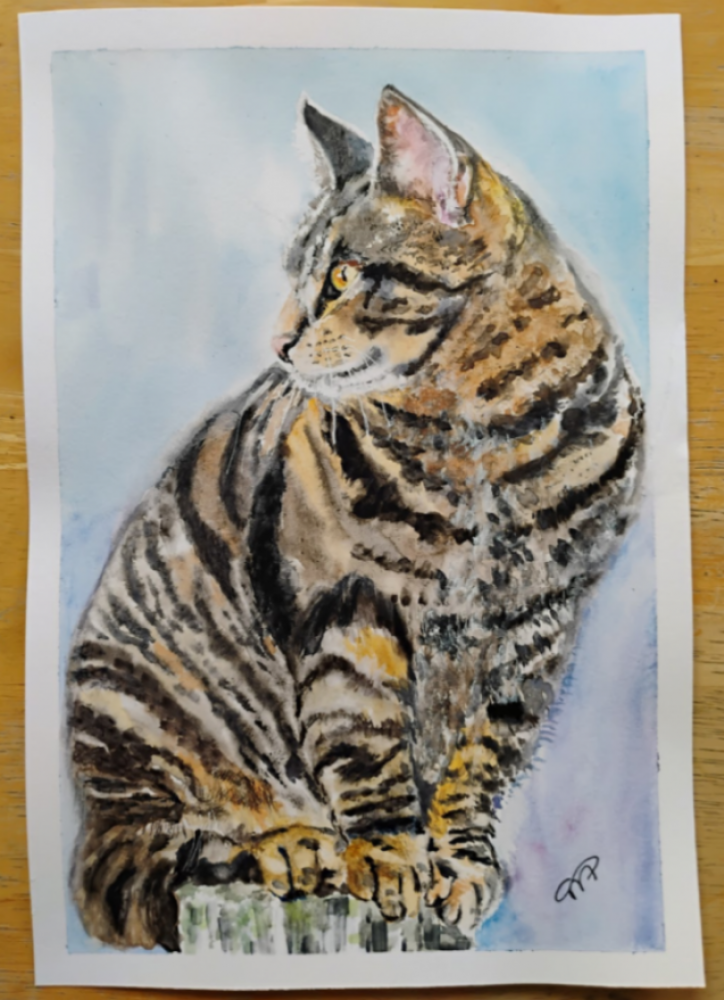 Portrait of a Cat