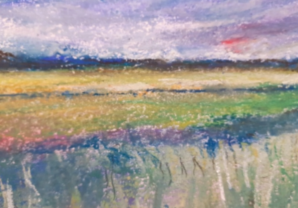 View of the Cornfield
