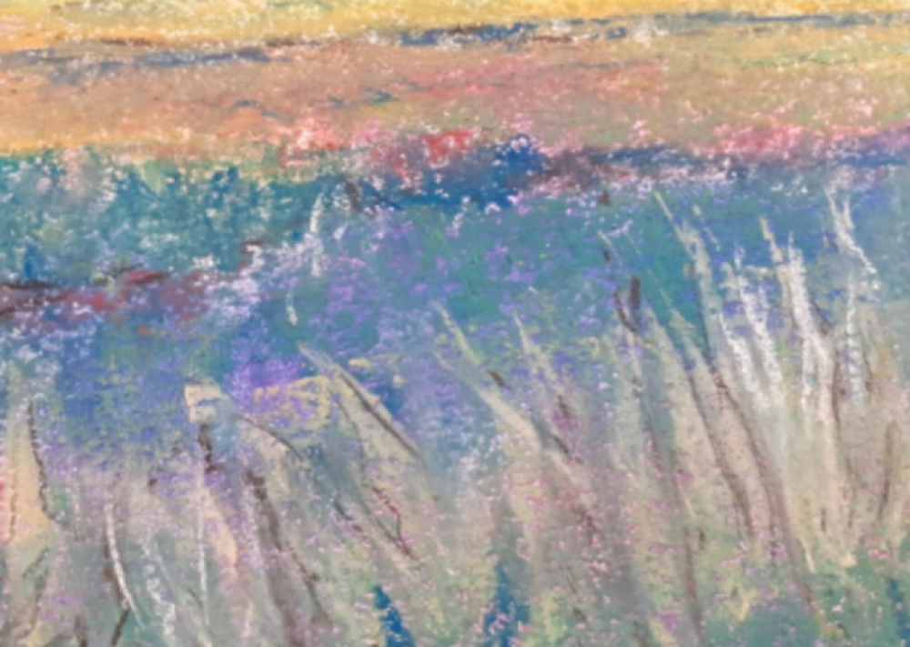 View of the Cornfield