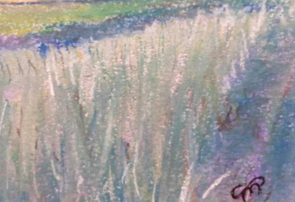 View of the Cornfield