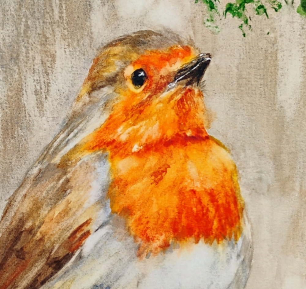 Robin on a holly branch 