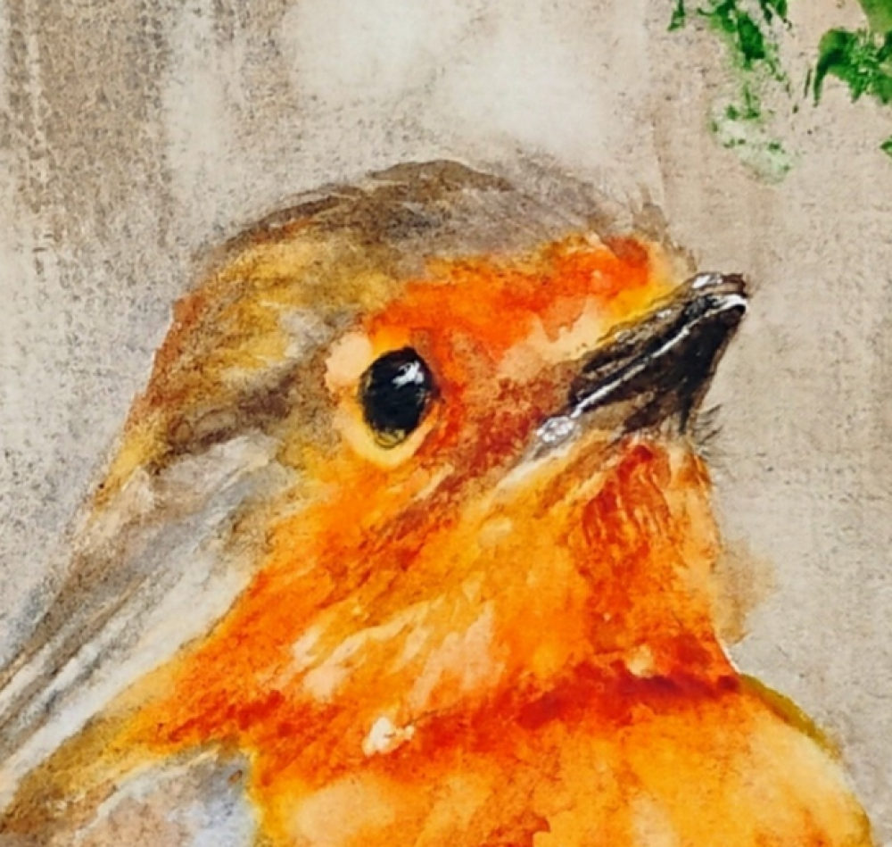 Robin on a holly branch 
