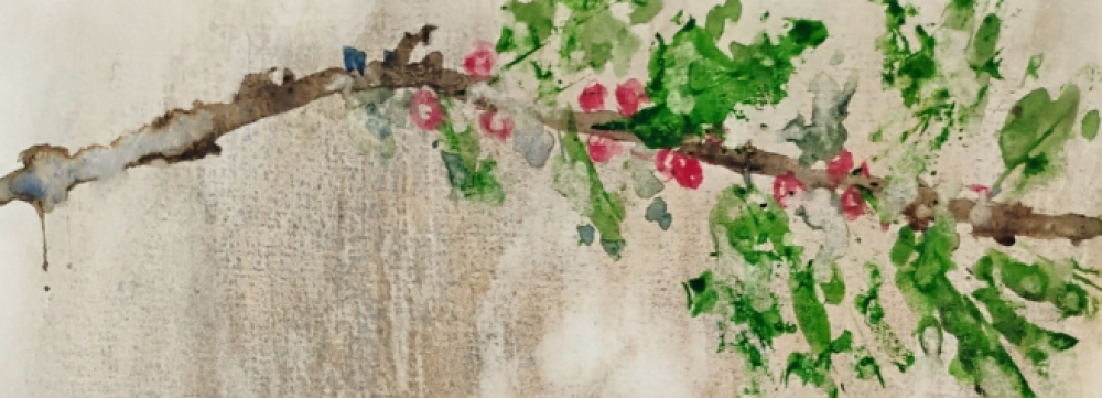 Robin on a holly branch 