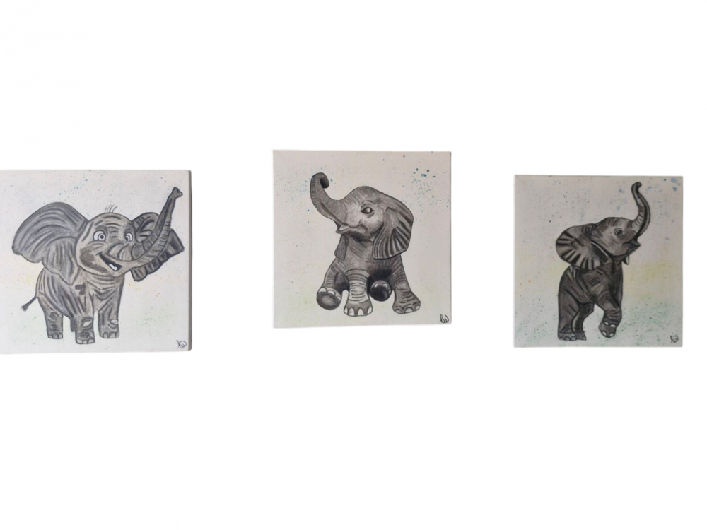 'Smokey elephants'