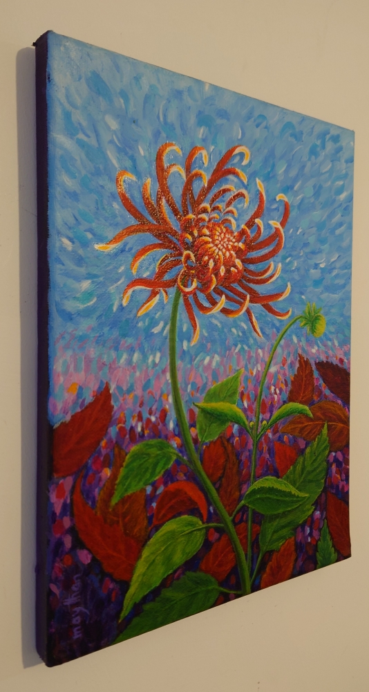 Dancing Chrysanthemum 