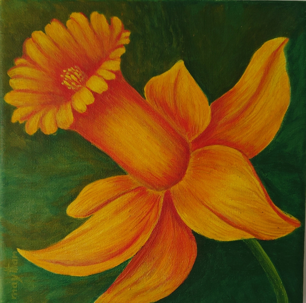 Daffodil 