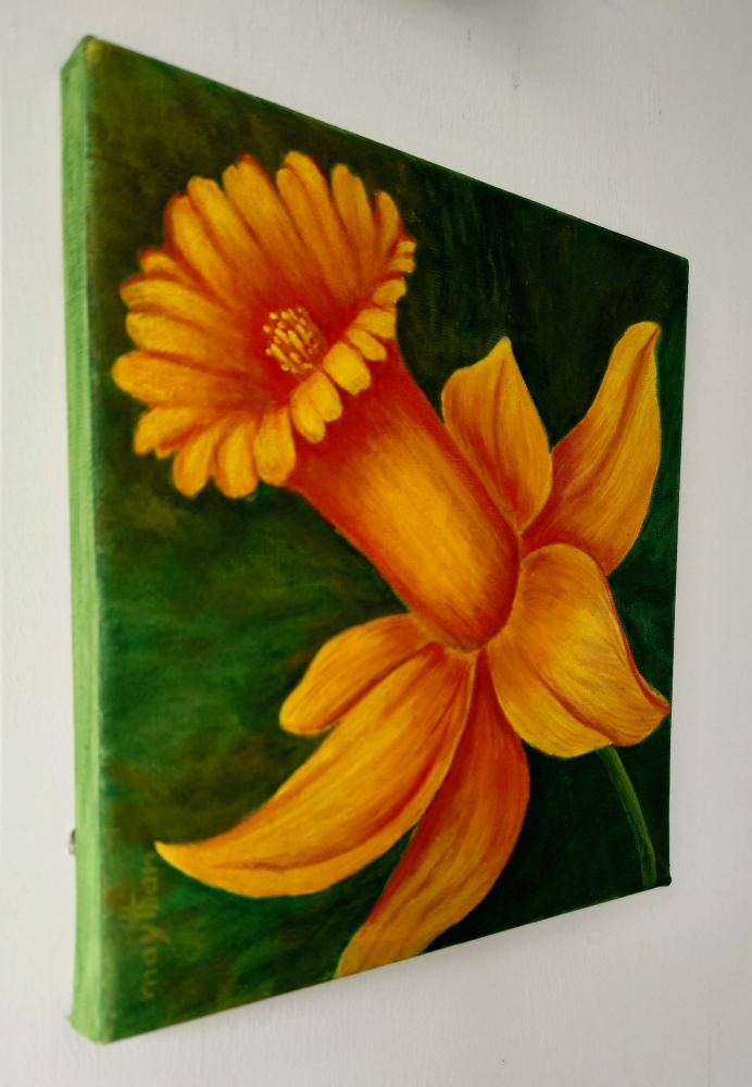 Daffodil 