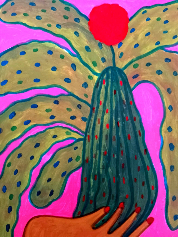 Succulent Plant
