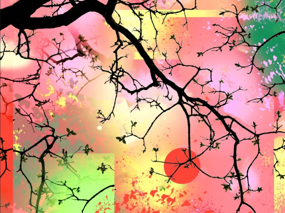Spring Bloom