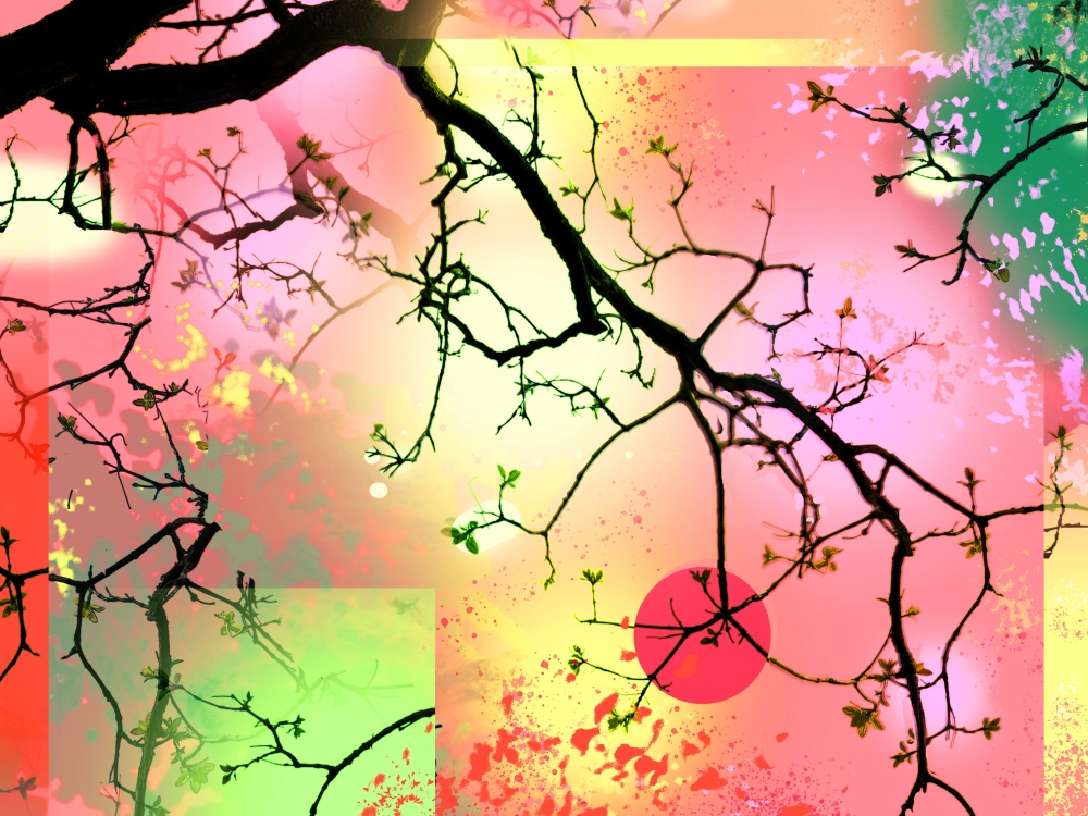 Spring Bloom